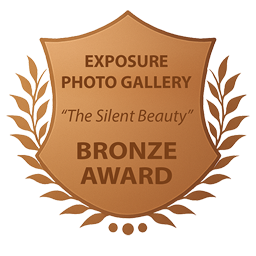 BRONZE AWARD