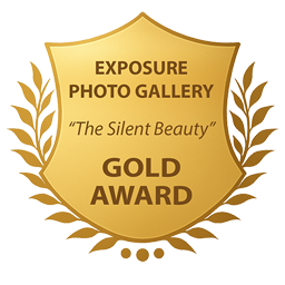 GOLD AWARD