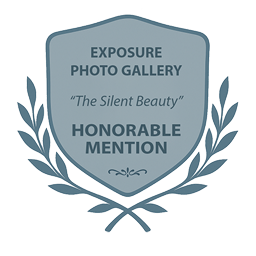 HONORABLE MENTION