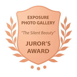 JUROR'S AWARD