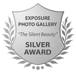 SILVER AWARD