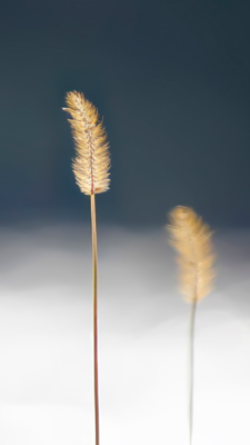 Visual exploration 2